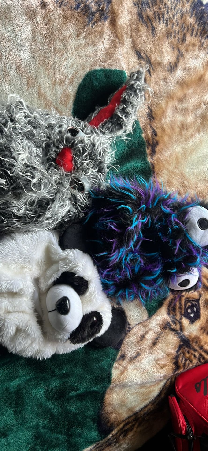 Motorcycle Helmet Covers (Moto Loot)