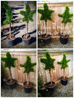 Star and moon emeralds