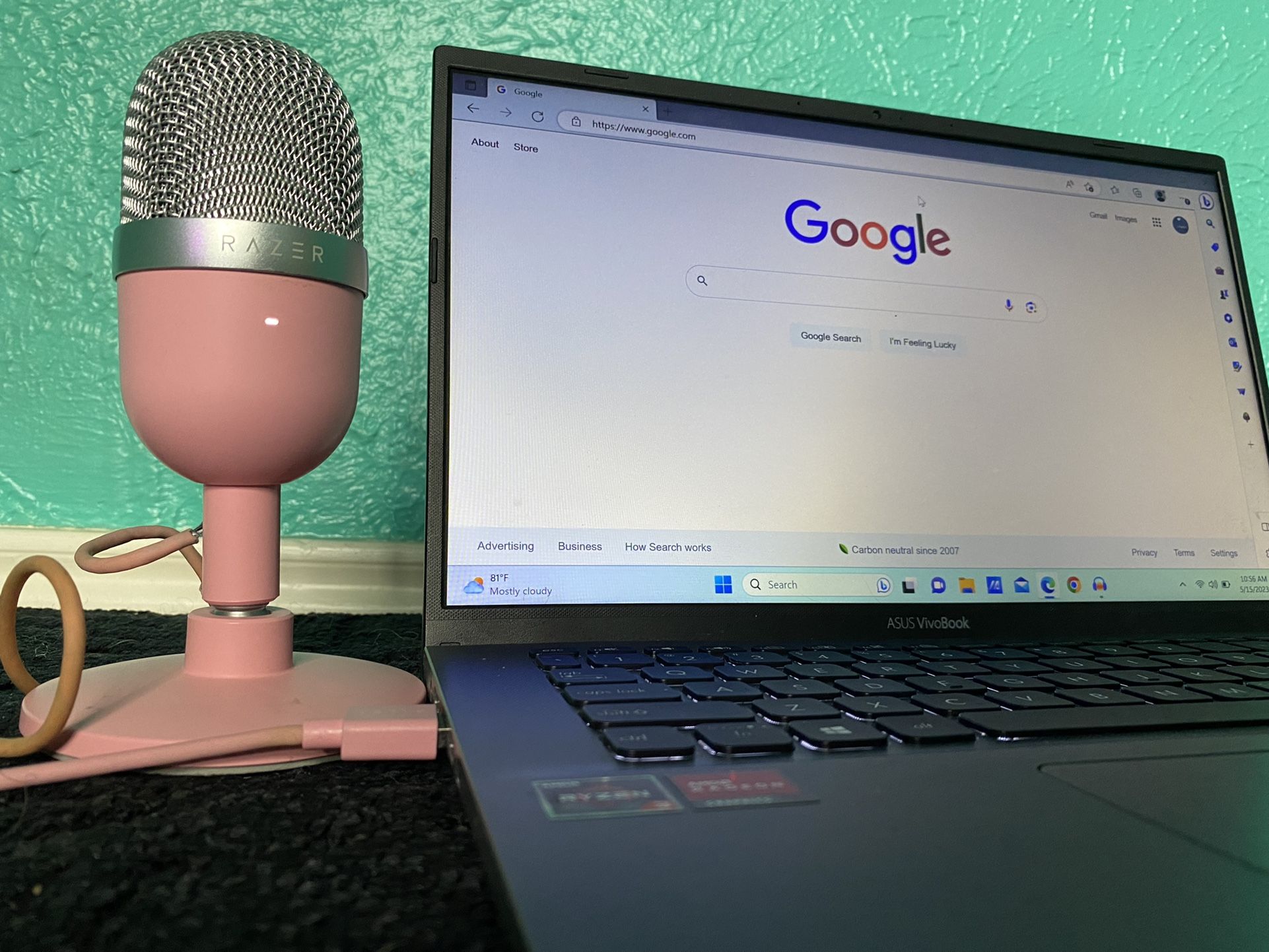 Asus Vivobook 14 (CHEAP) + Mic/Camera