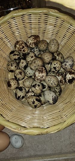 Quail Eggs