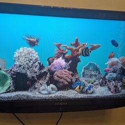 32 Inch Television - Works Great