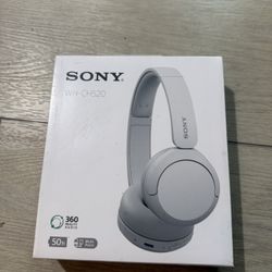Sony WH-CH520