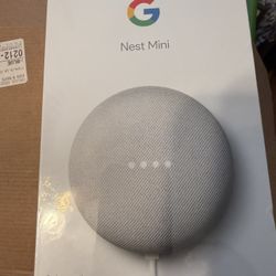 Google Nest Mini
