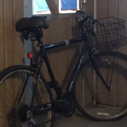 Roadmaster 12 Speed Bike