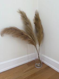 Pottery Barn Faux Pampas Stems + Glass Vase – Set