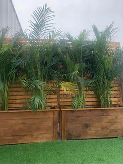 Cedar Garden Boxes | Veggie, Herb & Raised Beds