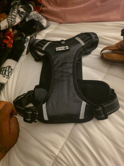 Medium Dog Harness