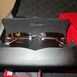 Cartier Glasses