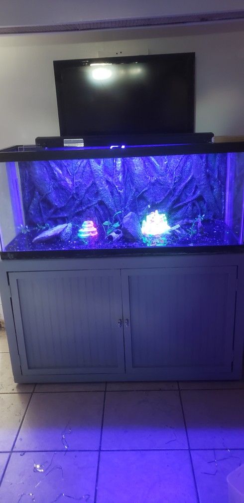 75 Gallon Fish Tank With Stand