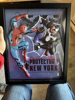 Spider-Man frame