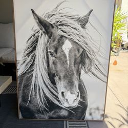 Black And White Horse Canvas Photo Framed