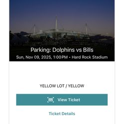 Yellow Parking Dolphins vs Bills $100