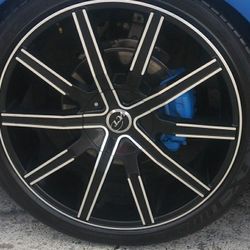 Calipers painting