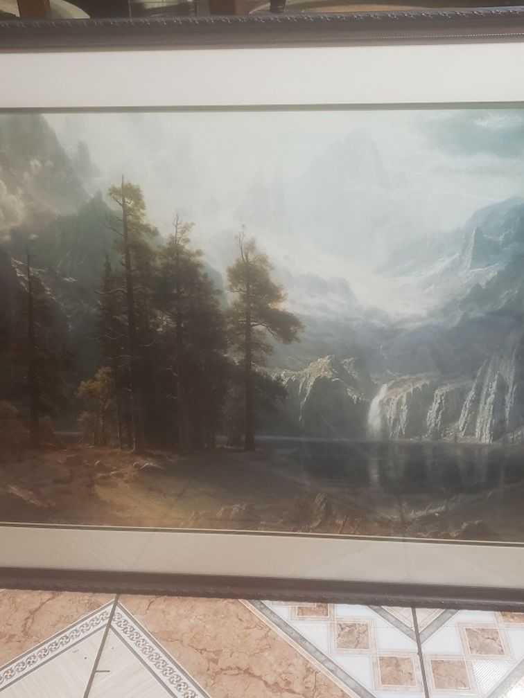 Canvas Portrait: Good Condition