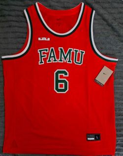 Nike LeBron FAMU #6 Basketball Jersey