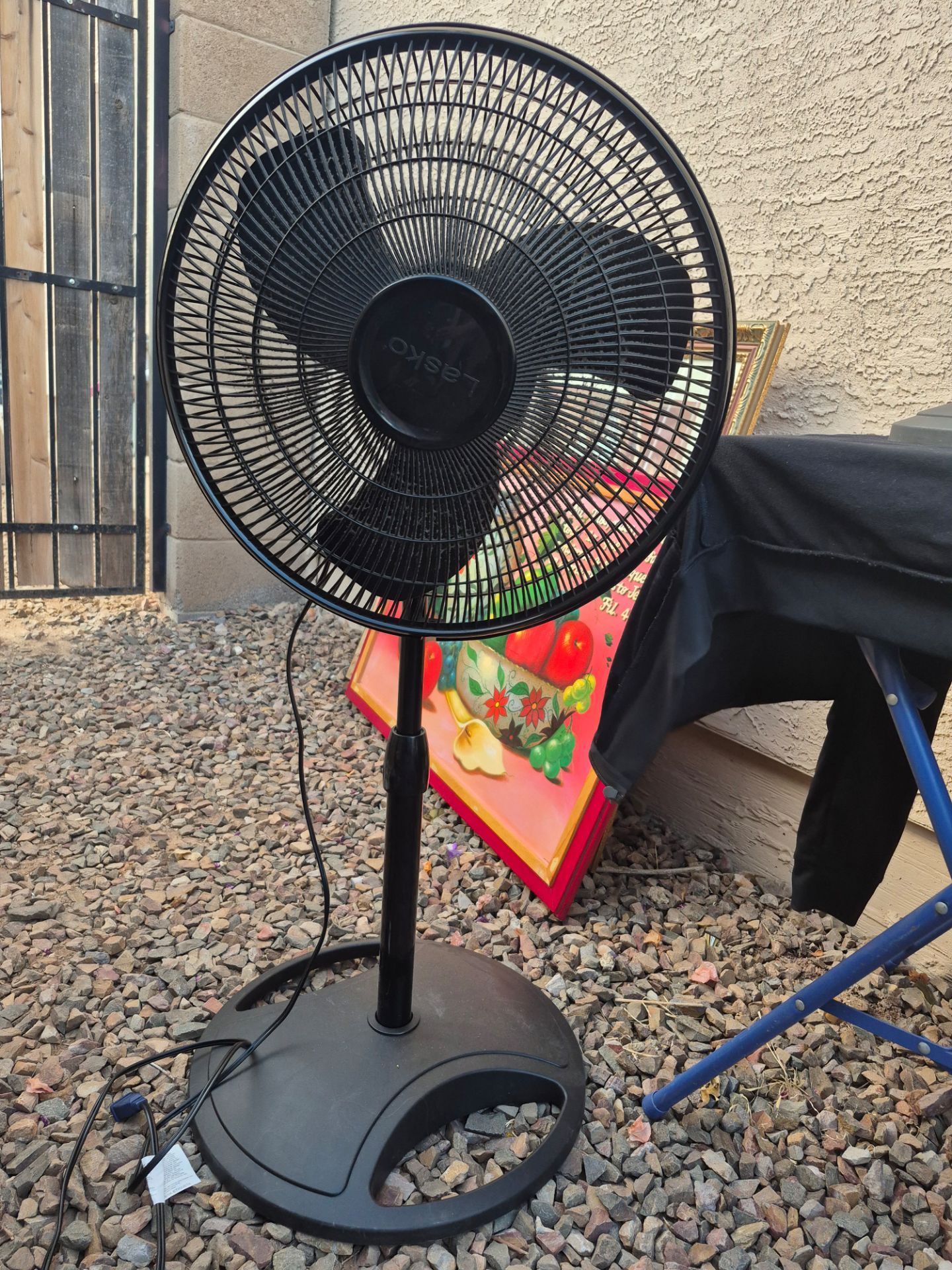 Fans