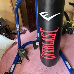 Everlast Steel Frame With Punching Bag And Speed Bag Also Reflex Bag With Hooks! Also TITLE head Gear! 