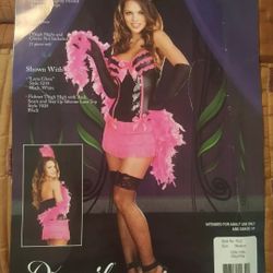 Halloween Costume Dream Girls Sexy