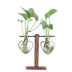 Hearts Glass Planter Terrarium Plant Propagation Station Heart Shape Vase for Hydroponic Water Plants