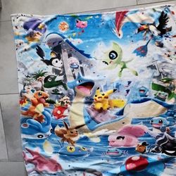 Large Pokemon Blanket