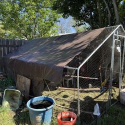 Chicken Cage For Sale 