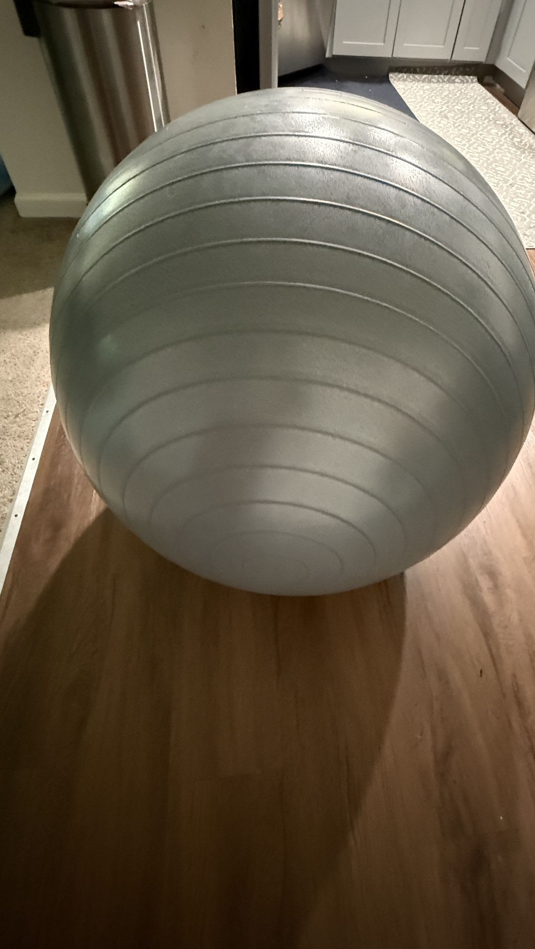 Pregnancy Yoga Ball