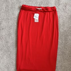 Knee Length Skirt