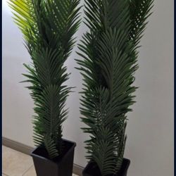 *** REDUCED *** PAIR of 6ft Faux Areca Palms in 24in Black Resin Planters @ Lasting Creations