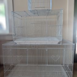 Bird Cages And Accessories