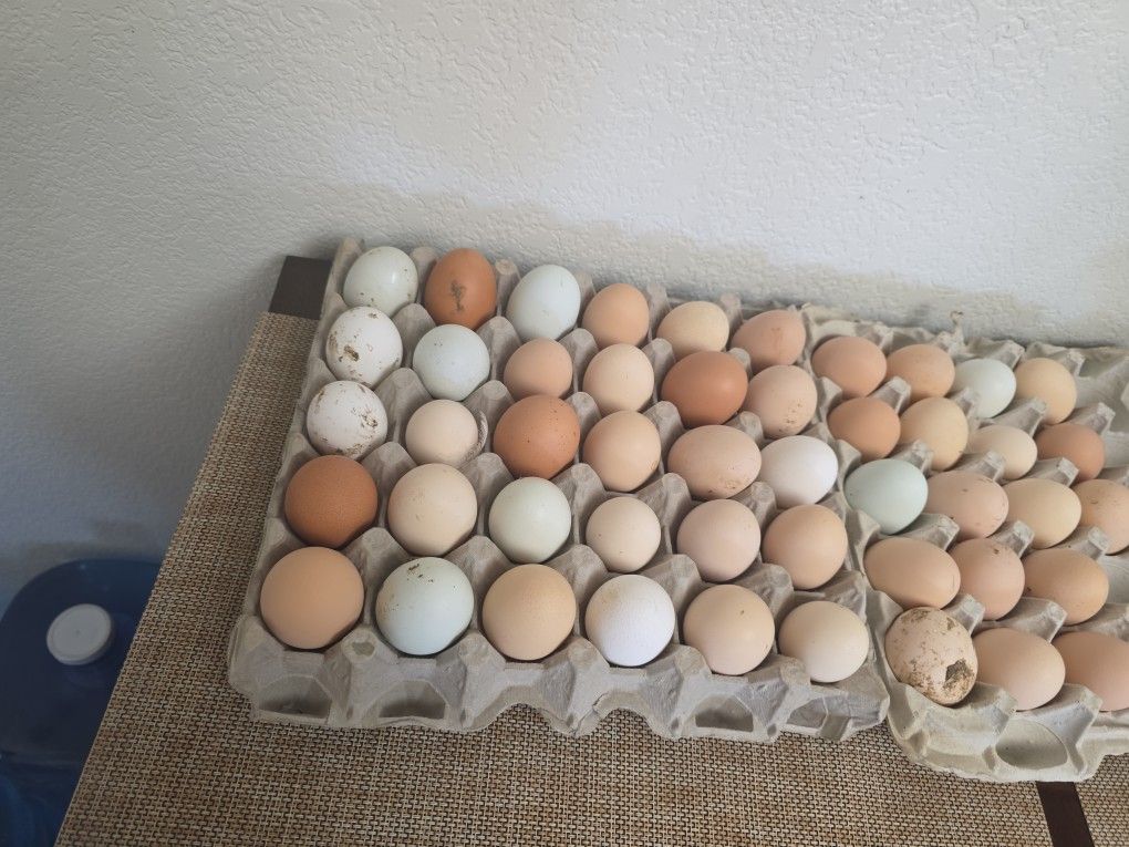 Fresh Farm Eggs