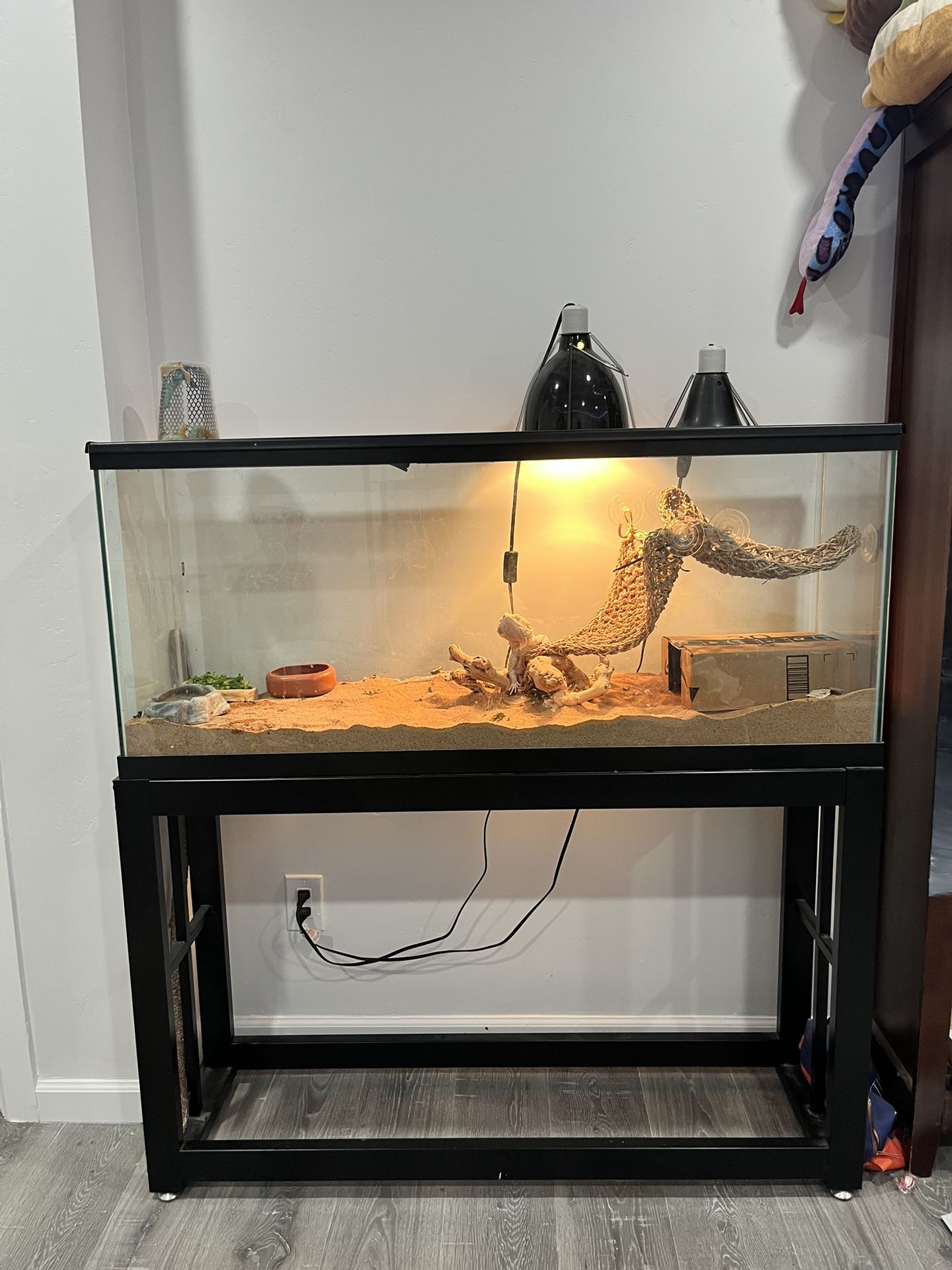 Bearded Dragon Tank And Stand, 70 Gallon Tank. 48 Wide, 13 Deep, 18 High