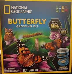 National Geographic STEM Butterfly Growing Kit 🦋