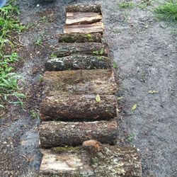 Pecan Wood Firewood For Sale