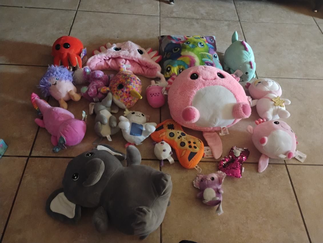Miscellaneous Stuffed Animals Pillow Hat