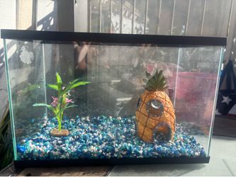 Fish tank all included