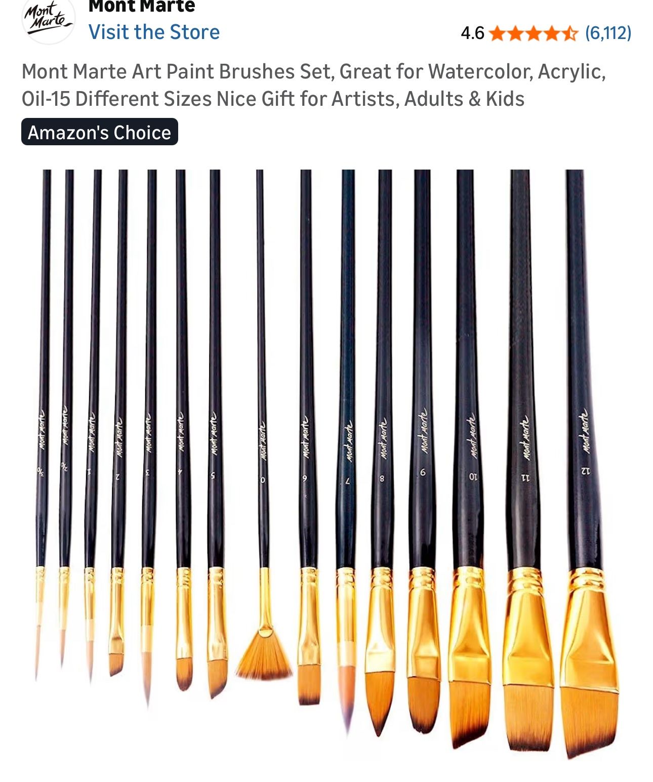 15pcs Art Brushes Set With Carrying Bag, New