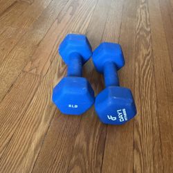 Pair Of 8 Lb Free Weights (Dumbbells)