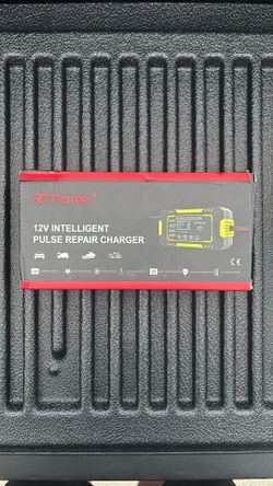 12v Pulse Battery Charger