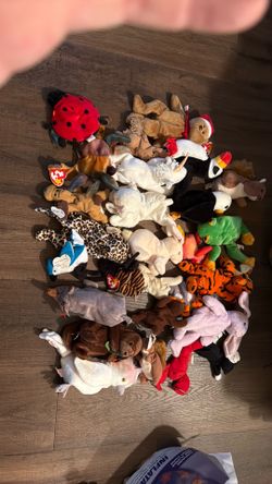 Ty Beanie Baby lot