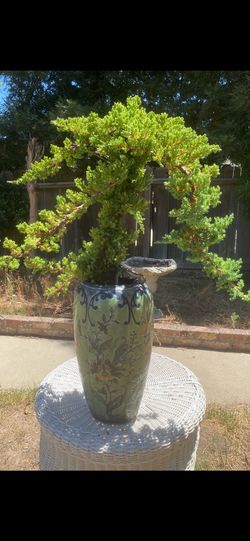 Once our plans for sale, Japanese Garden Jennifer Mia style $185 Once our plans for sale, Japanese Garden Jennifer, Mia Gaile $185