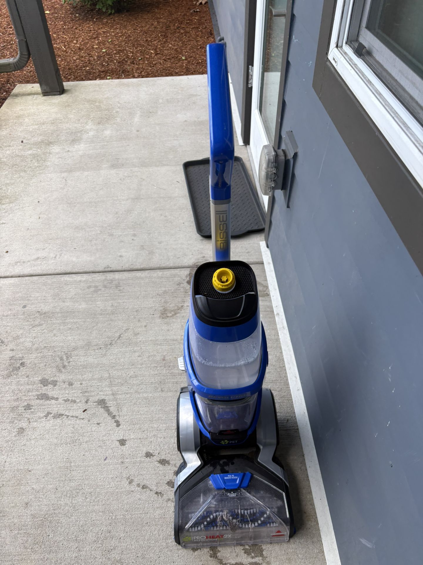 Carpet Cleaner 