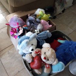 20 Teddy Bears for $15