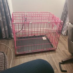Kennel, Pretty in Pink!