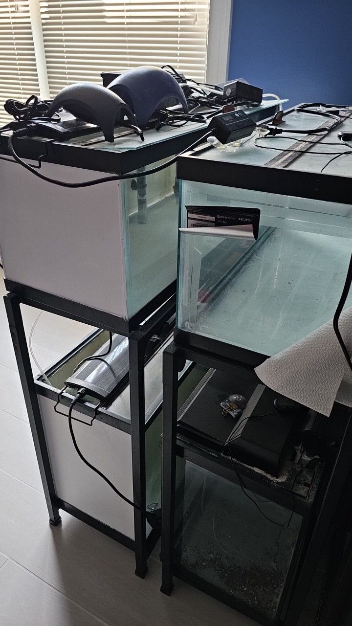 Breeder Aquariums - FULL SETUP!  