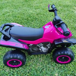 Pink Ride On Push Car 