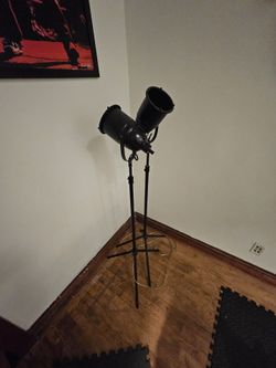 2 standing lamps