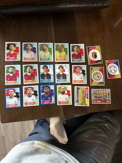Panini stickers