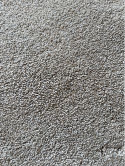 Dreamweaver Malibu III carpet piece