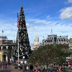 Disney Travel agent