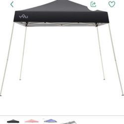 Canopy 10 X10